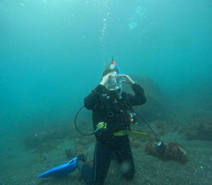 DCIM100GOPROGOPR8317.JPG