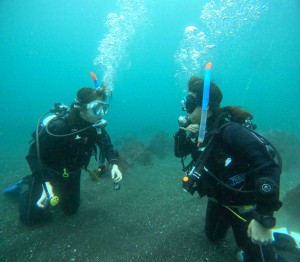 DCIM100GOPROGOPR8325.JPG