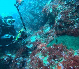 DCIM100GOPROGOPR8443.JPG