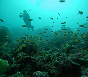 DCIM100GOPROGOPR8454.JPG