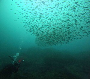 DCIM100GOPROGOPR8460.JPG