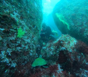 DCIM100GOPROGOPR8573.JPG