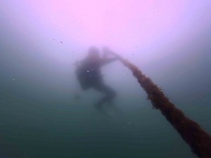 IMG_20260413_120619_068.jpg