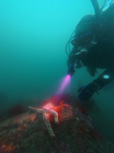 IMG_20260416_100930_018.jpg