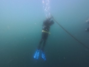 IMG_20260416_103041_022.jpg