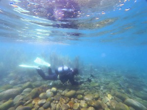 IMG_20260426_134105_048.jpg