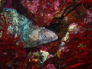 P4030024