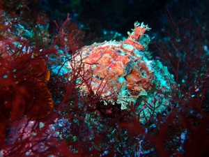 P4030042
