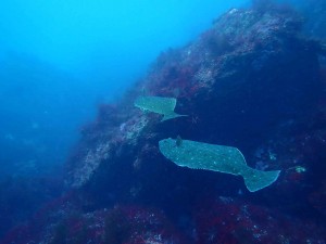 P4030087