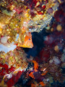 P4090078
