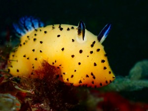 P4090213
