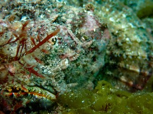 P4090232