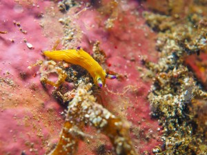 P4200032