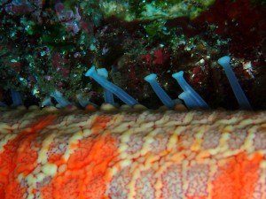 P4280052