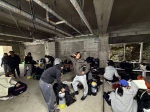 S__271187972_0
