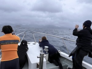 S__79134761