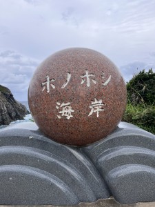 S__79134764
