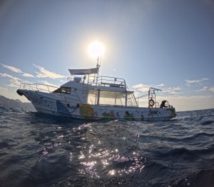 S__79134769